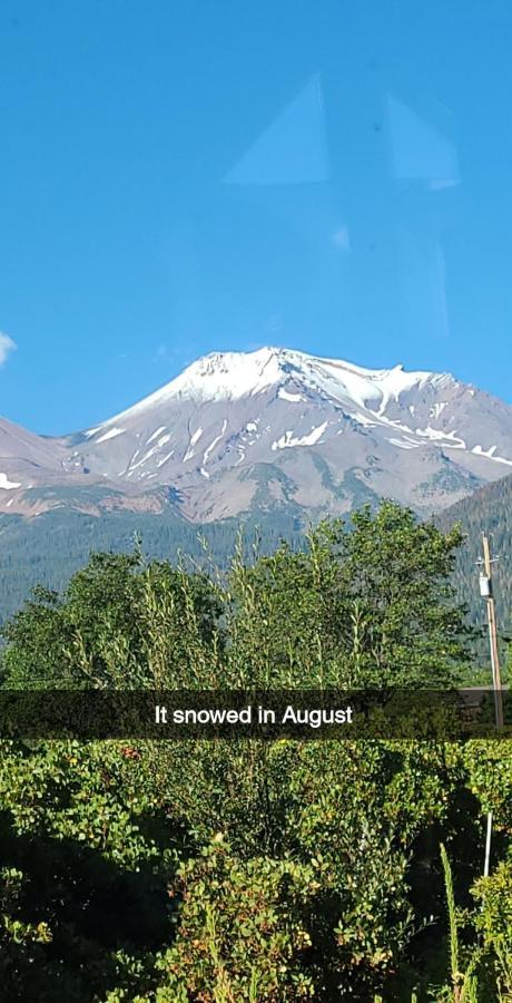 Angel Cottage With A Sauna Or The Cozy With A Jacuzzi Tub, Both Are Studios With A View Of Mount Shasta Zewnętrze zdjęcie