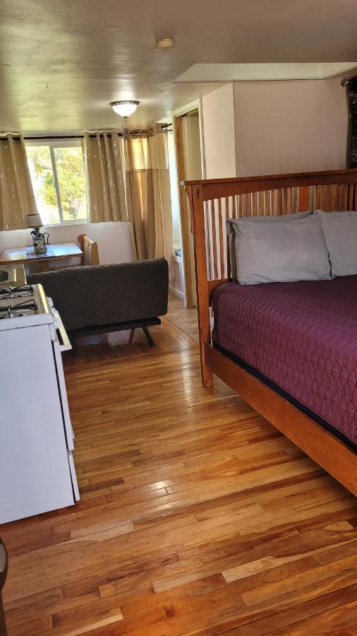 Angel Cottage With A Sauna Or The Cozy With A Jacuzzi Tub, Both Are Studios With A View Of Mount Shasta Zewnętrze zdjęcie